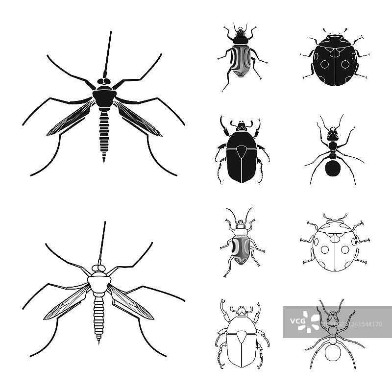 昆虫和飞行标志合集图片素材
