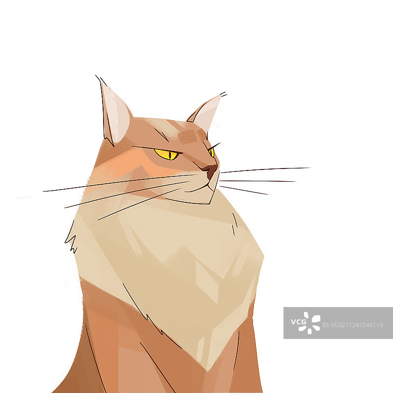 神态高冷威严的橘色猫咪肖像插画图片素材