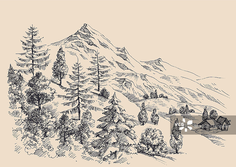 山峰全景高山植被图片素材