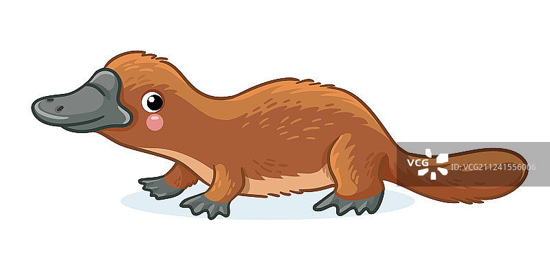 白色背景上的鸭嘴兽图片素材