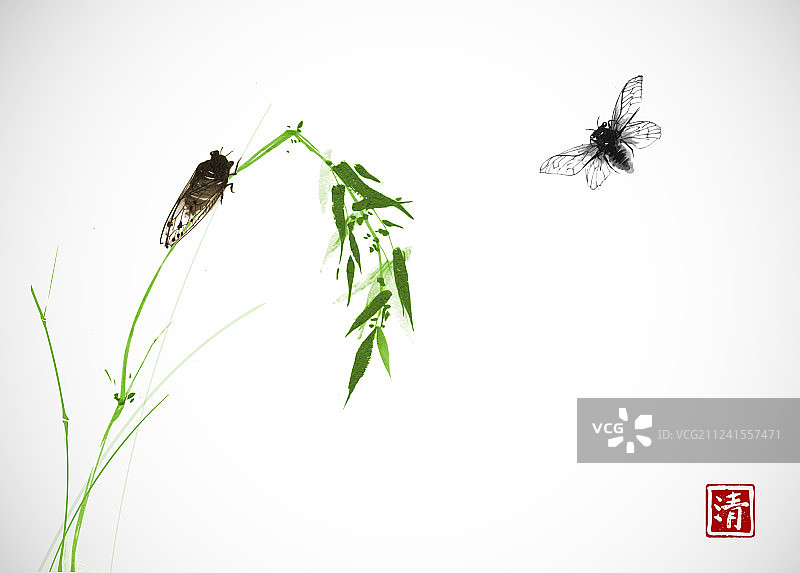 两只蝉与绿色竹枝传统图案图片素材