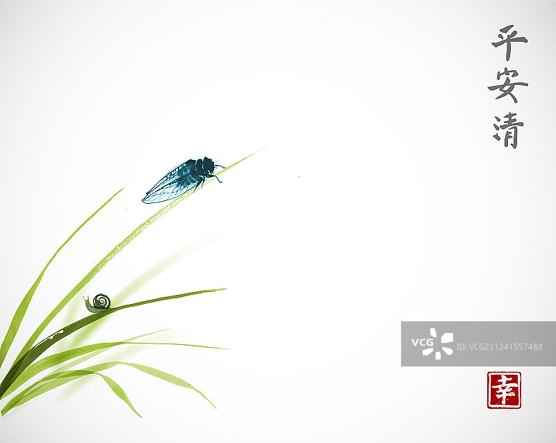 草叶上的蝉和小蜗牛图片素材