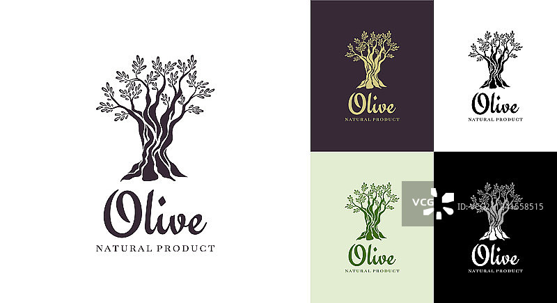 橄榄油橄榄树logo设计模板图片素材