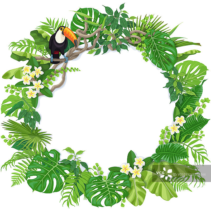 热带植物和巨嘴鸟的圆形边框图片素材