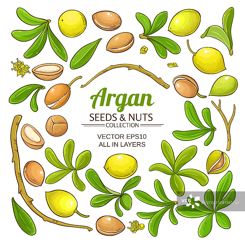 摩洛哥坚果元素套装图片素材