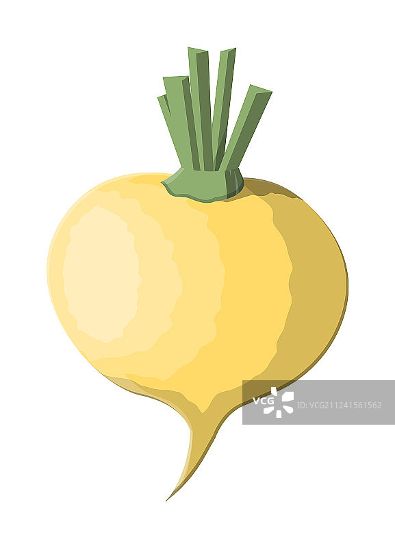 白色背景上的萝卜蔬菜图片素材