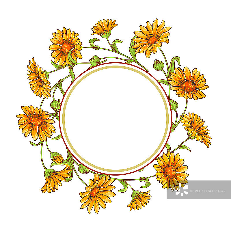 金盏花边框图片素材