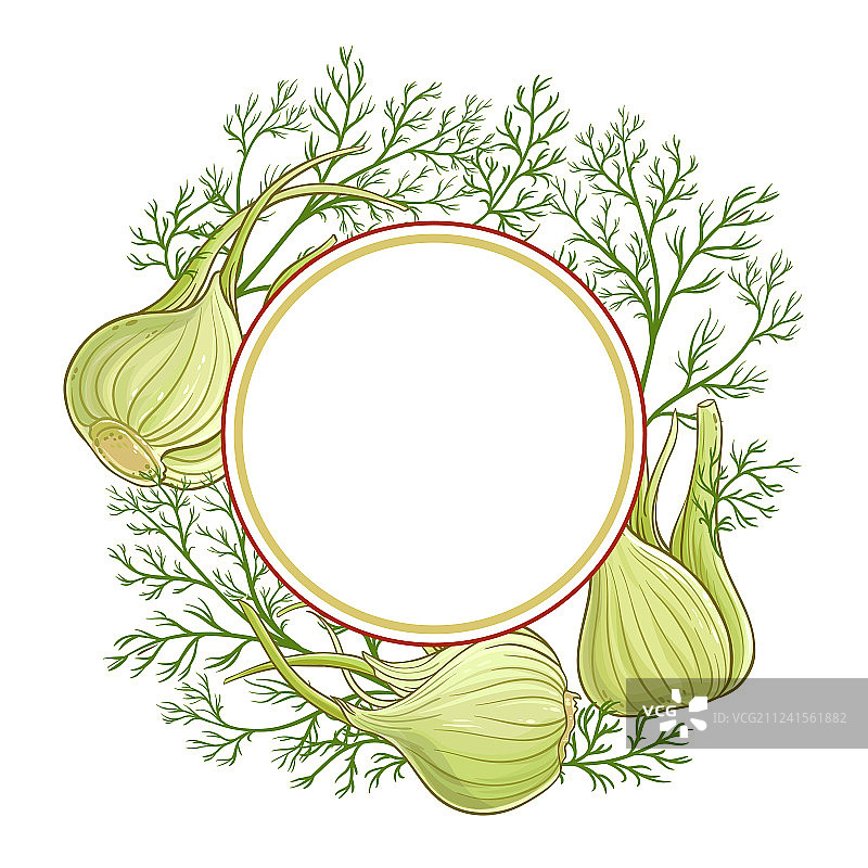 小茴香框架图片素材