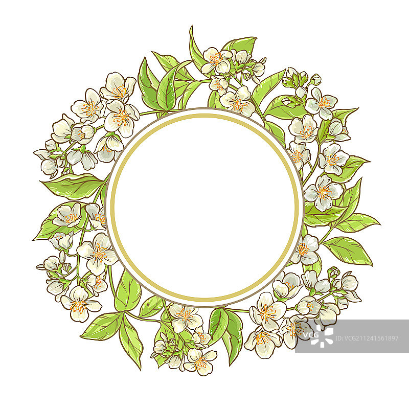 茉莉花枝条边框图片素材