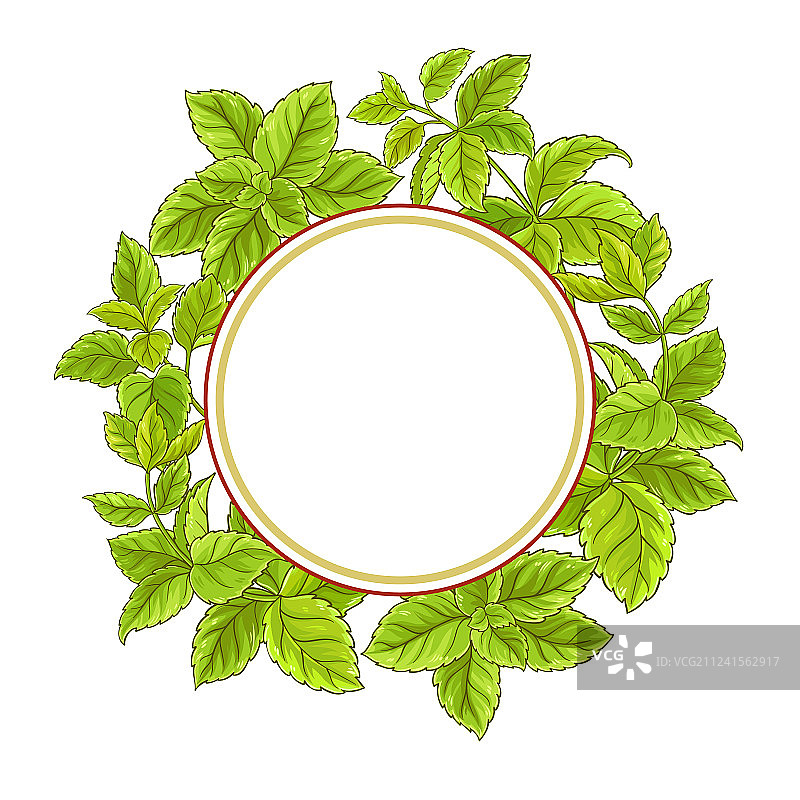 蜜蜂花相框图片素材