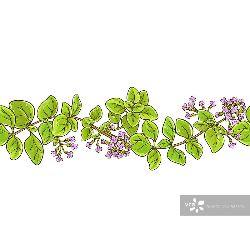 牛至枝条图案图片素材