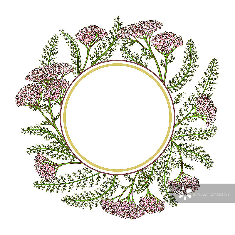 蓍草框架图片素材