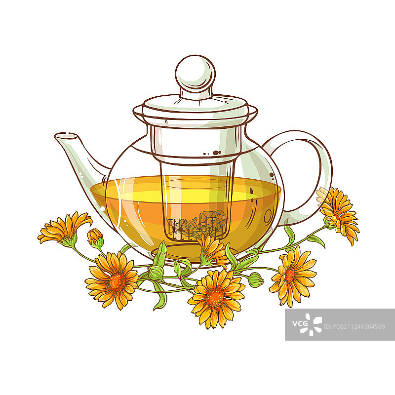 金盏花茶图片素材