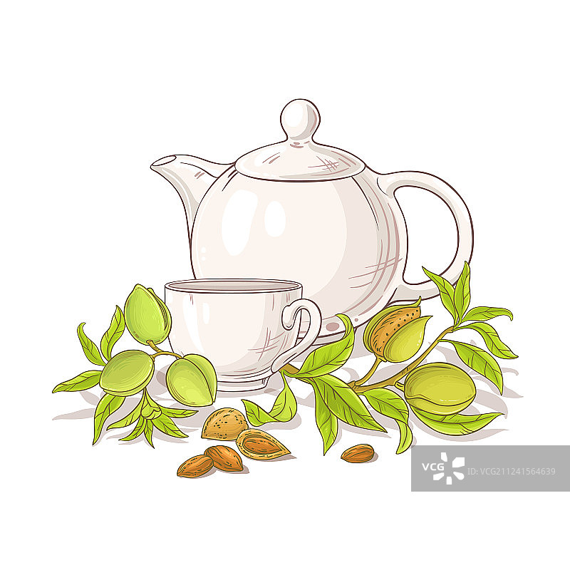茶壶中的杏子茶插画图片素材