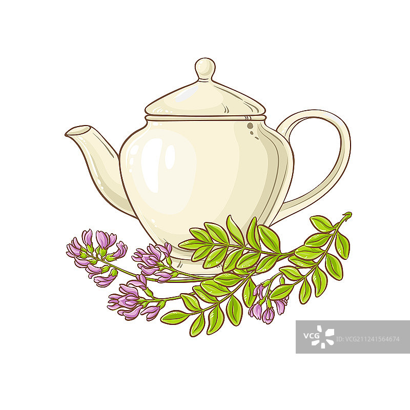 茶壶中的黄芪茶图片素材