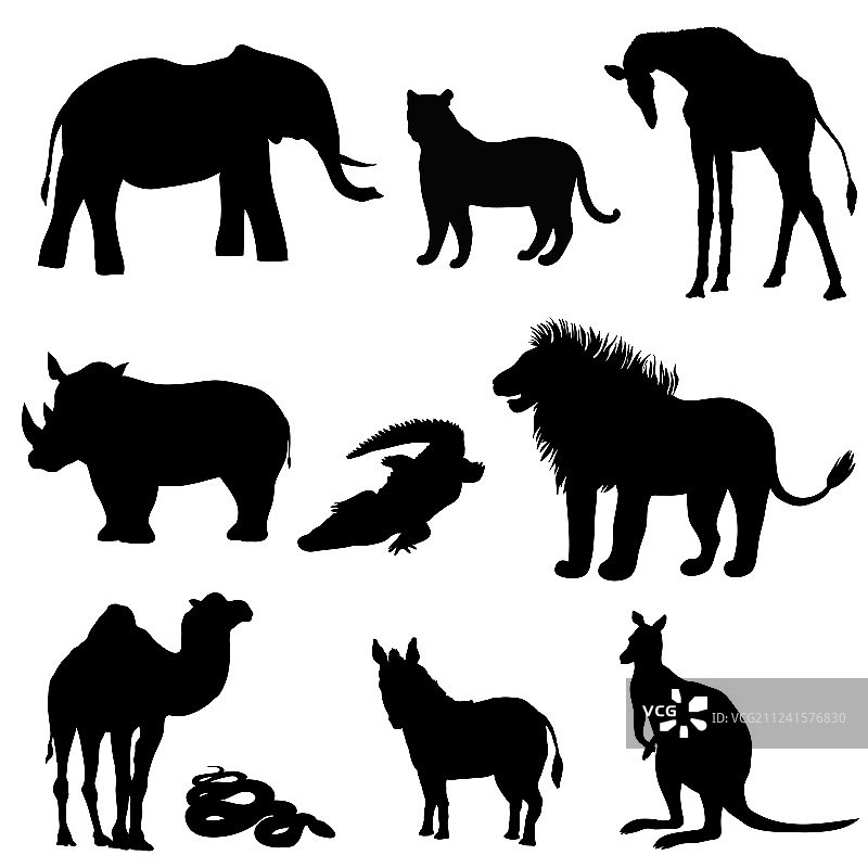 动物图像图片素材