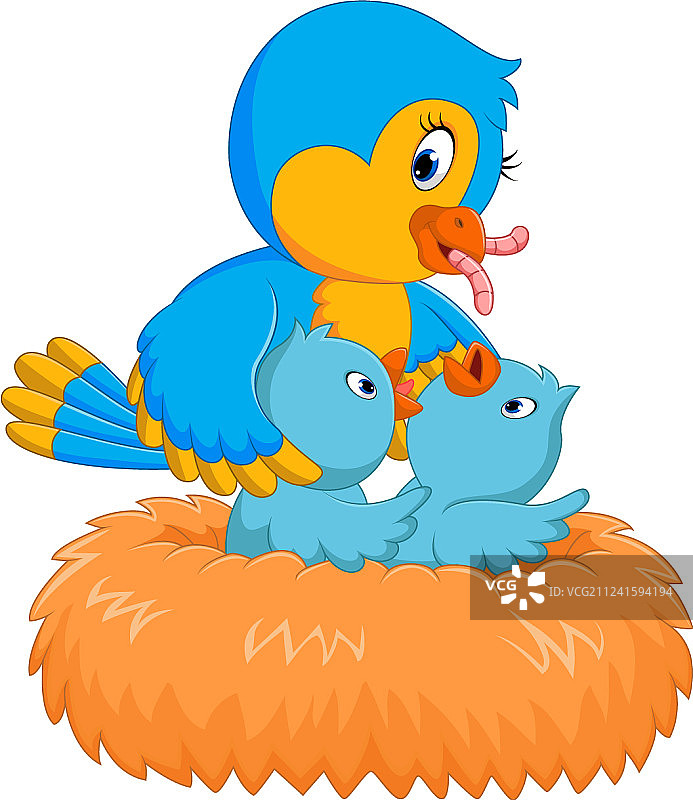 鸟巢中的小鸟图片素材