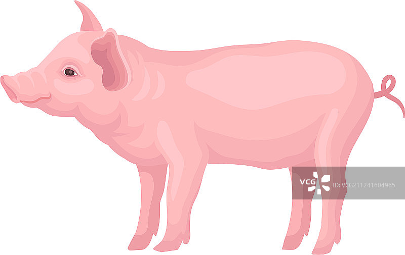 白色背景下的搁浅猪图标图片素材