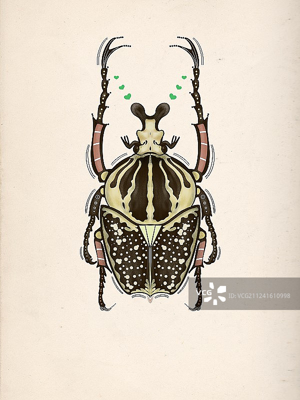 昆虫系列图片素材