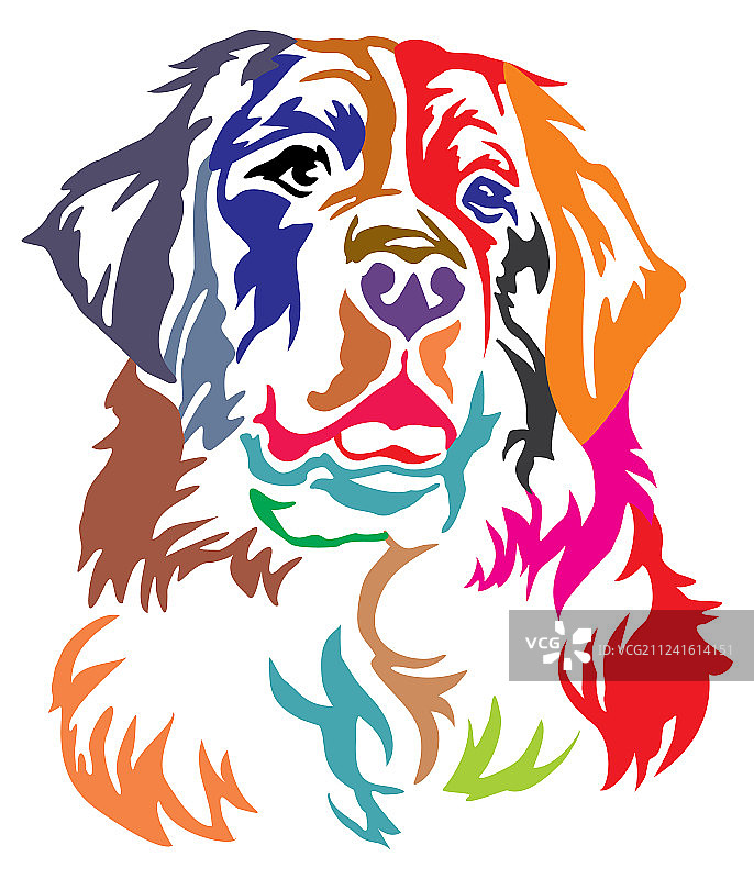 伯恩山犬的彩色装饰肖像图片素材