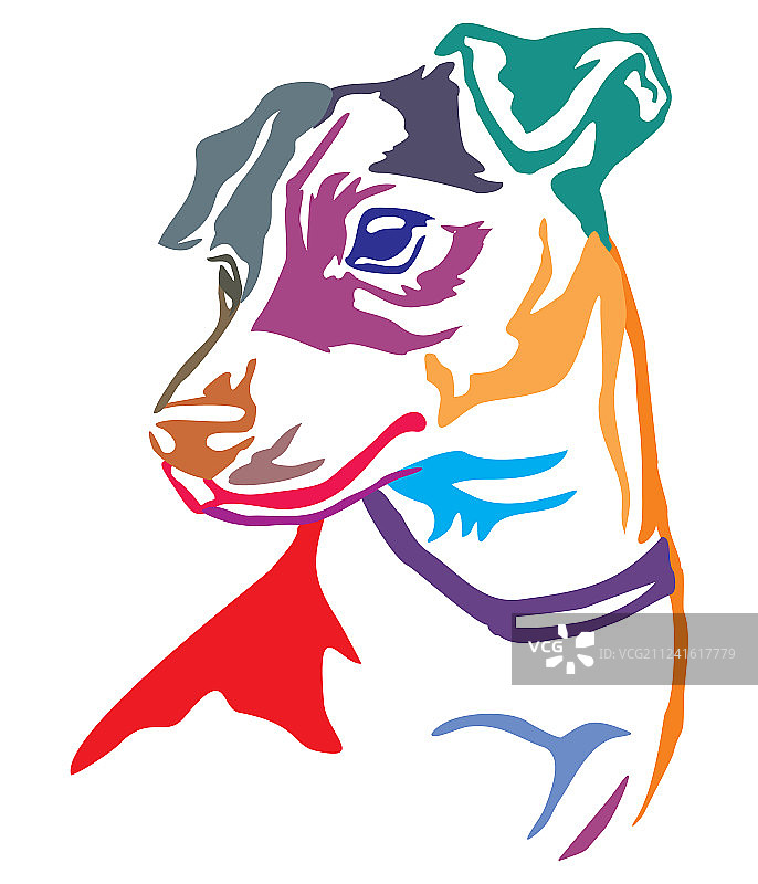 杰克罗素犬的彩色装饰肖像图片素材