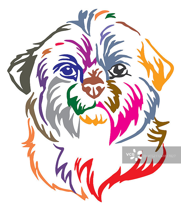 彩色装饰的西施犬画像图片素材