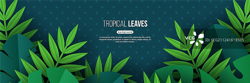 异域丛林热带棕榈叶夏季花卉图片素材