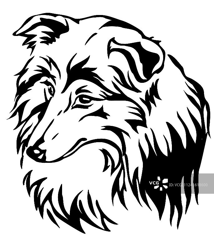 喜乐蒂牧羊犬装饰肖像图片素材