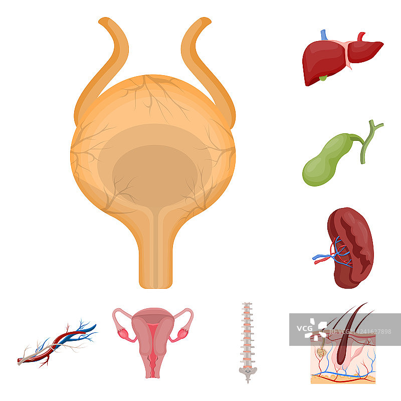 身体人体标志图片素材