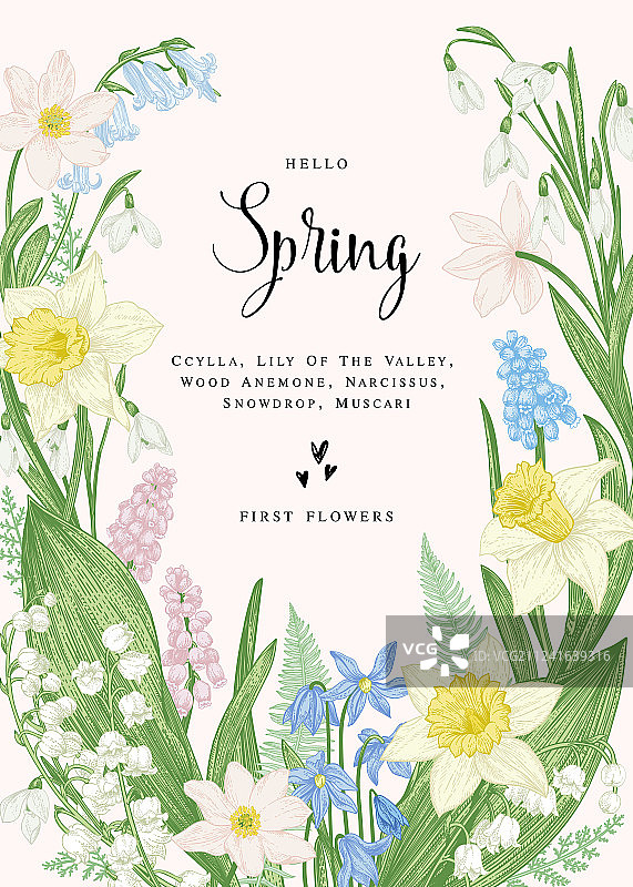 春季花卉卡片图片素材