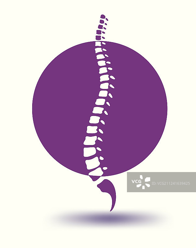 紫色圆形中的人类脊柱骨干图片素材