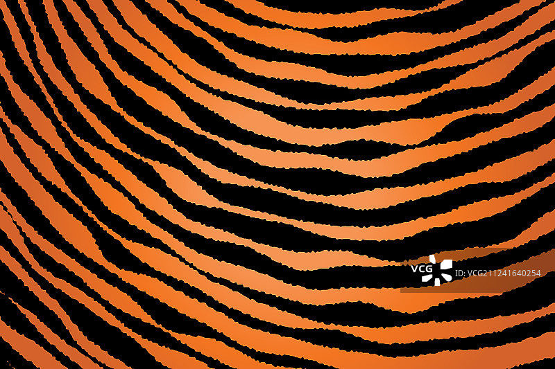 条纹动物图案特写图片素材