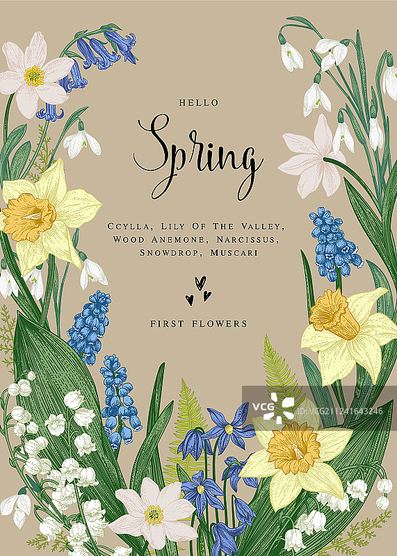 春季花卉卡片图片素材