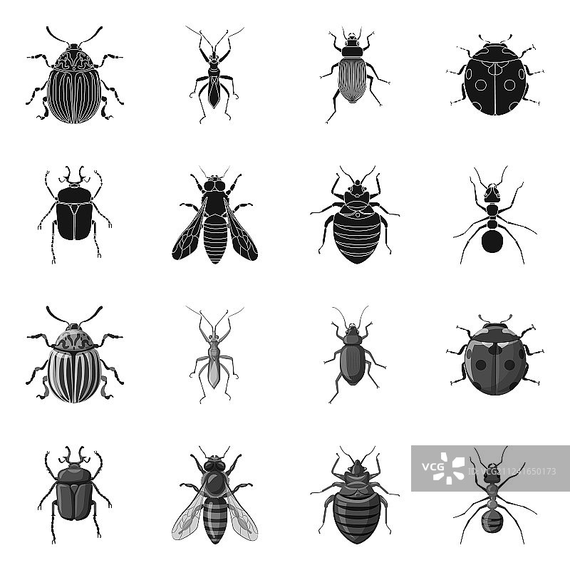 昆虫图标图片素材