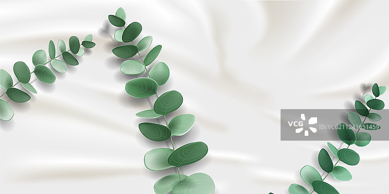 缎面上的桉树枝图片素材