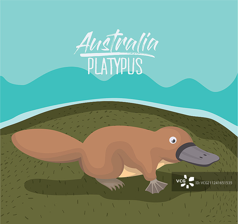 澳大利亚鸭嘴兽彩色户外海报图片素材