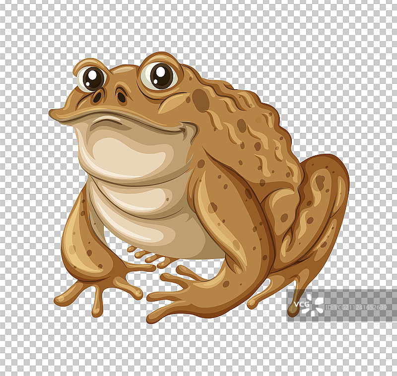 棕色皮肤的蟾蜍图片素材