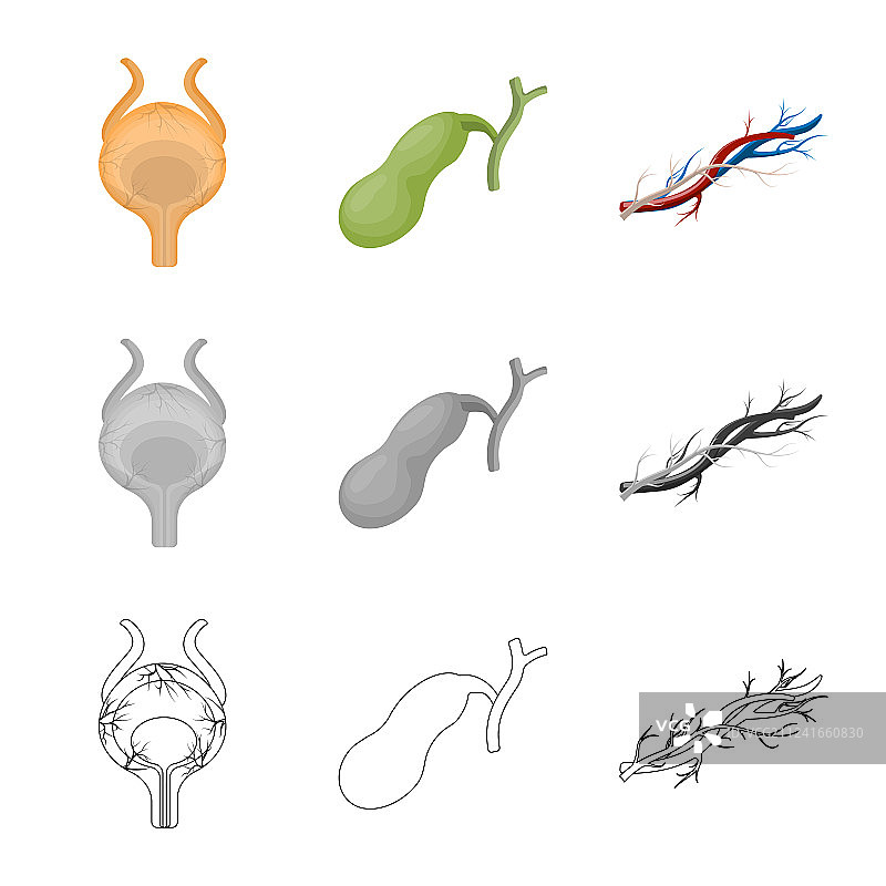 人体和人体标志设计图片素材