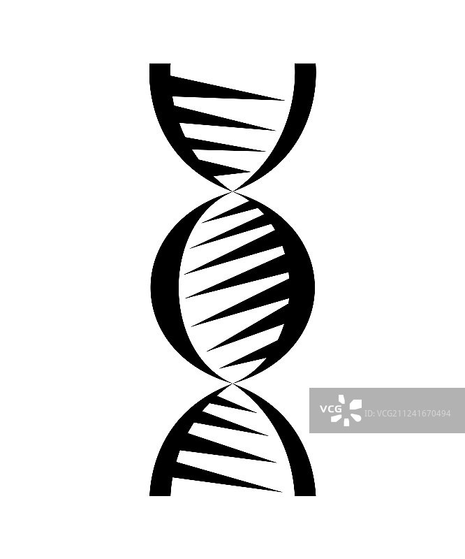 白色背景上分离的抽象DNA链符号图片素材