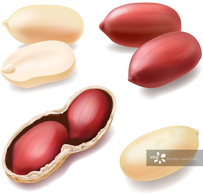 带壳花生写实坚果图标图片素材