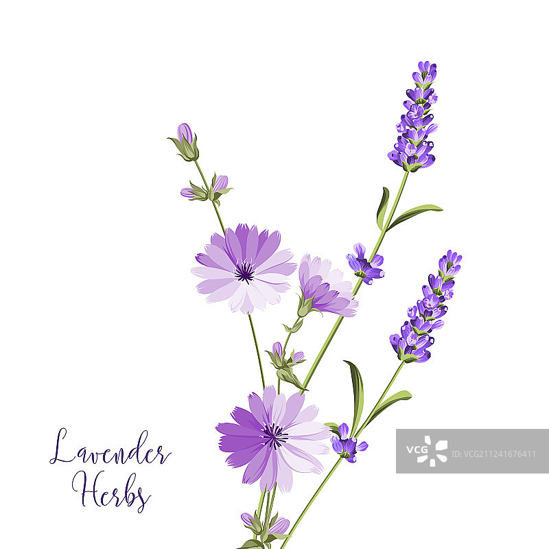 带有薰衣草的标签图片素材