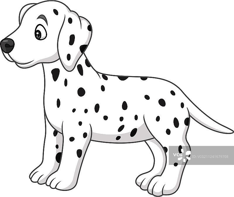 小斑点狗图片素材