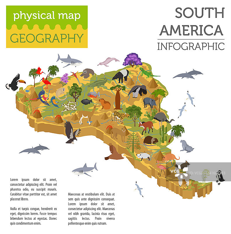2.5D南美洲动植物地图图片素材