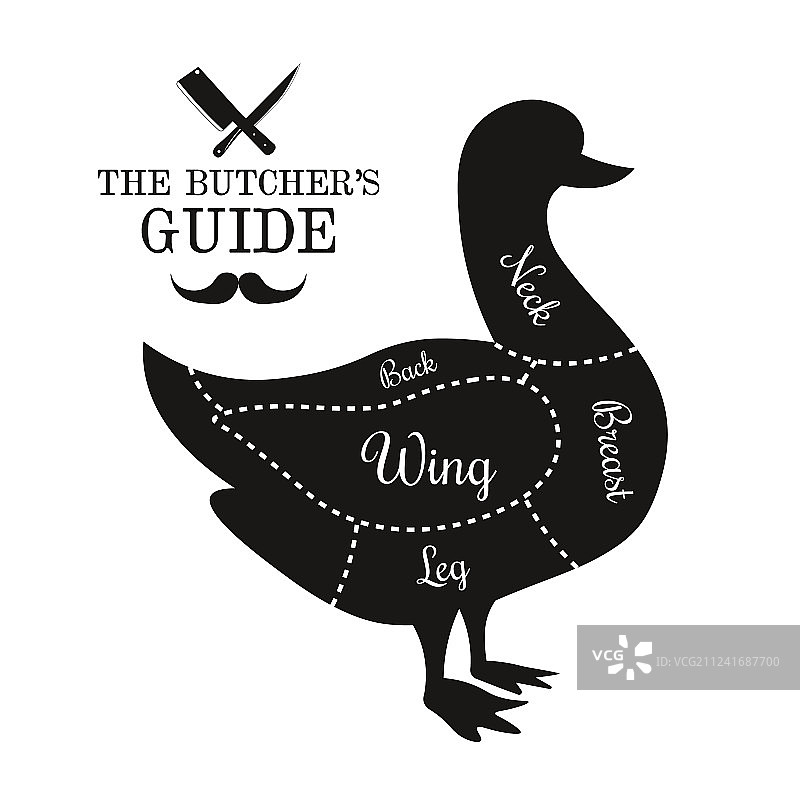 家禽鸭肉切割线图图片素材