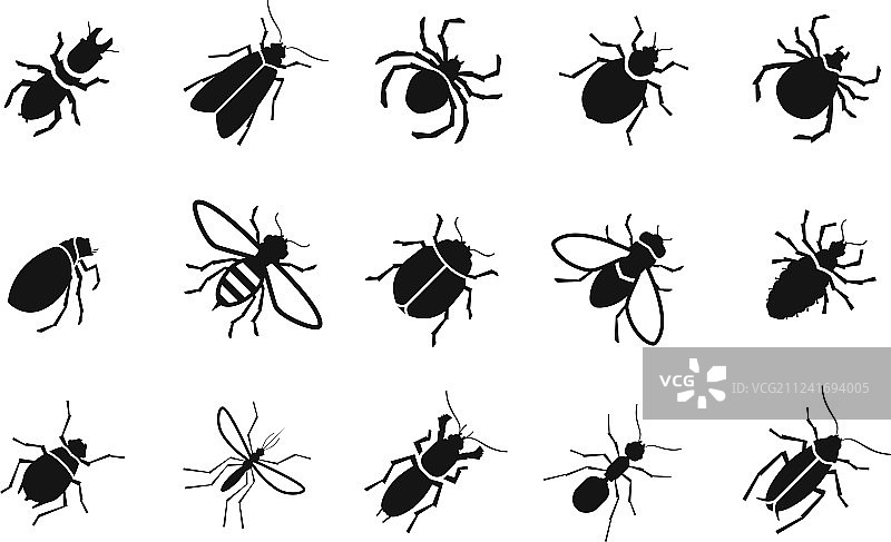 害虫和各种昆虫图标集图片素材