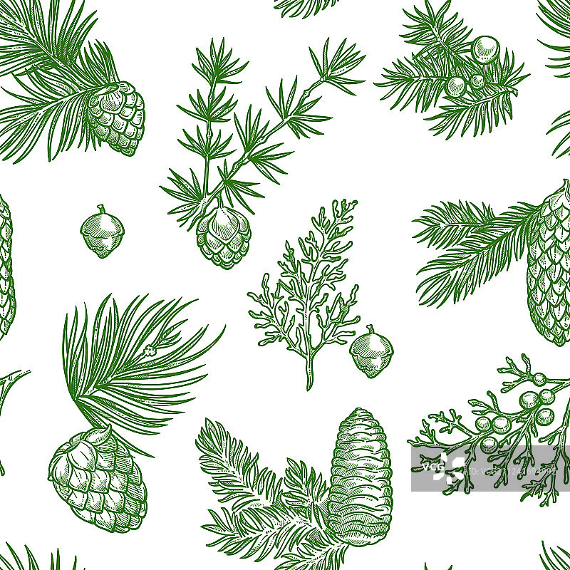 松树枝与松果无缝图案图片素材