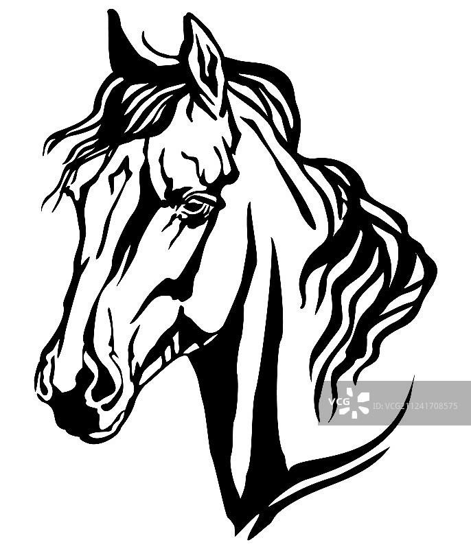 阿拉伯马装饰肖像图片素材