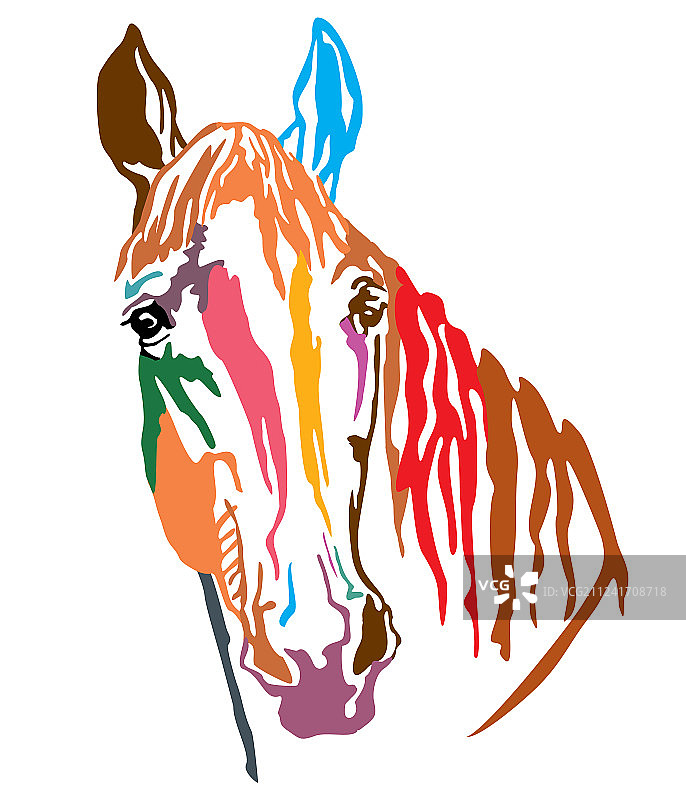 特雷克纳马彩色装饰肖像-2图片素材