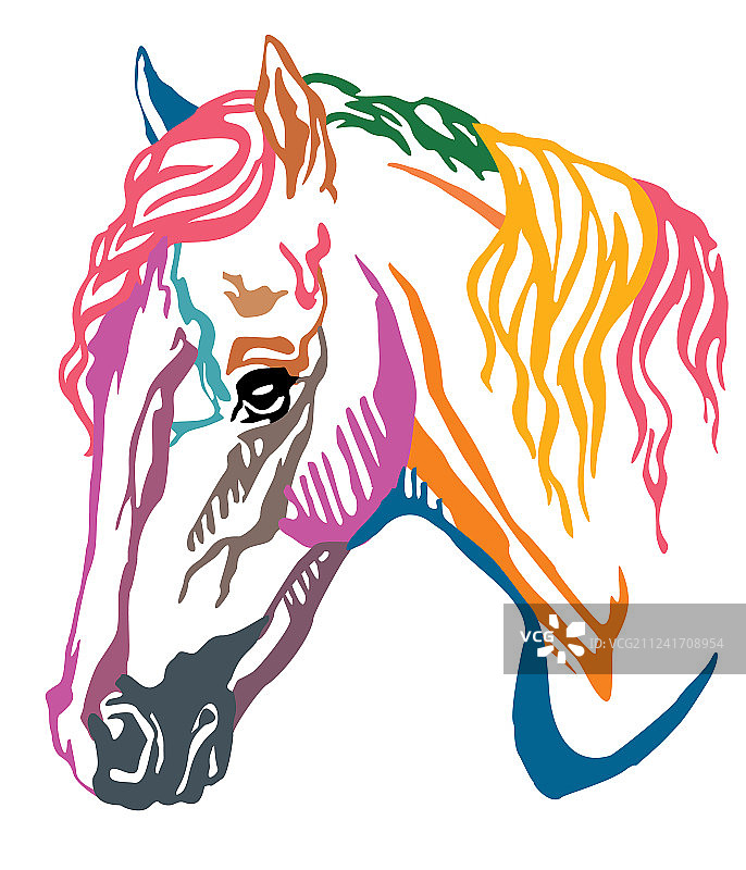 威尔士矮种马的彩色装饰肖像图片素材