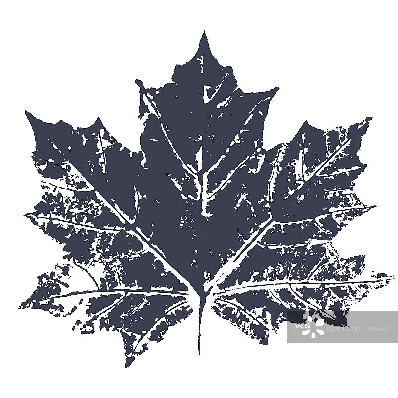 枫叶印花油墨叶子图片素材
